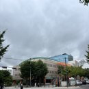 양천구민체육센터 | [원정수영#9] 양천구민체육센터 평일 자유수영