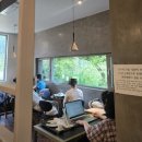 성석로 | 주말외식나들이 코스(청초수물회&amp;피콕그린카페)