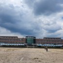 6.25참전학도병  이미지