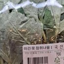 도룡동 카페 지브리 감성 스프링폴스튜디오