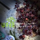 행복의 공간 이미지