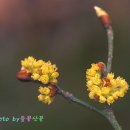 아지랑이 이미지