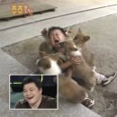 스모프통닭 네이버블로그