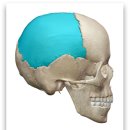 우리콩협동조합 이미지