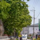 스테이유담 이미지