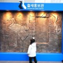 철새홍보관 티스토리