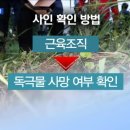 유내일통상