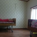 새봄산부인과의원 이미지