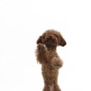 경수약품(주) 이미지