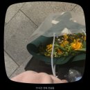 돼가네 | 끝나가네ㅔㅔㅔㅔ