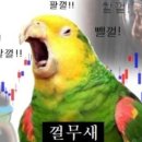 신도리코안 이미지