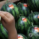 대목2천 이미지