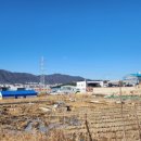 명동농장 이미지