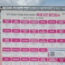 이목농원 | 양주시 나리농원, 양주 천만송이 천일홍 축제, 경기도 가볼만한곳 추천 나리농원