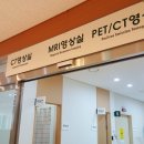 이수진앙금플라워 | ~18.02. :: 2월 일기(다발성경화증 베타페론/힐링하는법_영화, 번개/사람상대가 가장 피곤한 일이다...