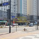 수양공인중개사사무소 이미지