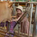 효진축산 이미지