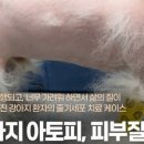 애니컴서비스 이미지