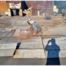 믿음자원 이미지