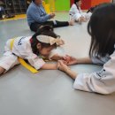 최강웅비태권도 이미지