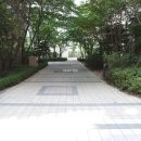 중앙동153 이미지