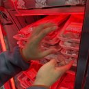 응암식당 | [응암역 고깃집] 응암 정육식당 고깃집 '소비니식당' 솔직후기 - 저렴하고 퀄리티 좋은 가성비 고깃집추천