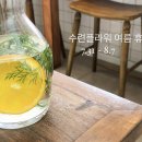 수련플라워 이미지