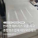 [세상모든청소]반려견,반려묘 키우는 집이라면 한번쯤 겪는 매트리스 오줌 사고 이미지