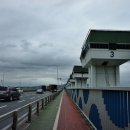 낙동강자전거길7 이미지