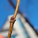 보배 어린이공원 이미지