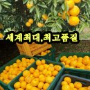 고군면 사무소 이미지