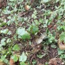 품실채마을 이미지