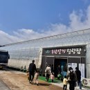 포천 딸기힐링팜 13개월 아기랑 다녀왔어요