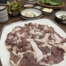 촌닭산오리 이미지