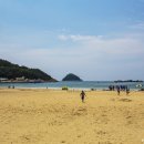 남해-310 Daum카페