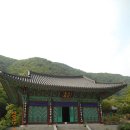 하자포