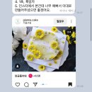 지아나케이크 이미지