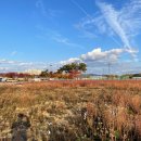 안동강변체육공원 축구장 이미지