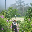 우주전망대 이미지