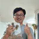 (제품 후기) 이 떡(찹쌀 약밥), 한입 먹고 바로 놀랐습니다. 진짜! 이런 맛 처음이에요.