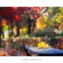화랑로 이미지