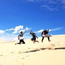 시드니약국 이미지