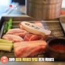 영수가 키운 흑돼지 농장 | 제주 금능 협재 해수욕장 흑돼지 맛집 혼저흑돼지