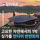 버드레인 | 싱가포르고급호텔 끝판왕 만다이 레인포레스트 리조트 반얀트리 싱가포르호텔 추천