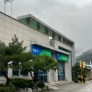 프롬도마 이미지