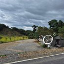 햇살농원 애견 | 푸르미르관광농원에서 애견동반 캠핑