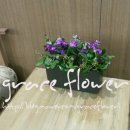 당쟁이로 이미지