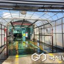 대상세차장 이미지