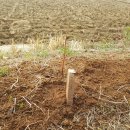 종필농장 이미지