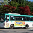 수원-1558 이미지